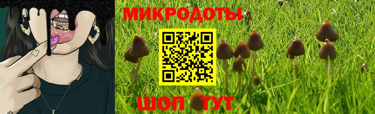 Псилоцибиновые грибы MAGIC MUSHROOMS Ипатово