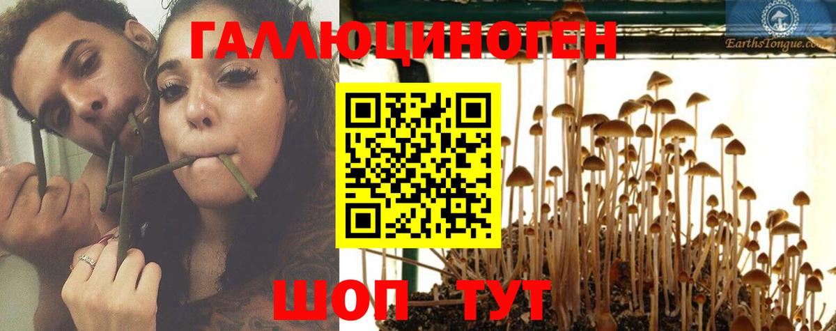 Галлюциногенные грибы мицелий  Вход с VPN  Галлюциногенные грибы Psilocybe  Ипатово 